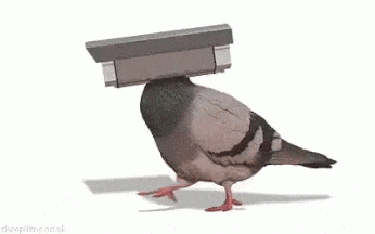 bunch-of-traffic-but-no-conversions
